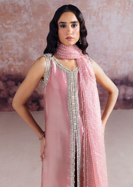 SRA Wedding Festive Organza Hand Emblishment Unstitched Collection AYDA