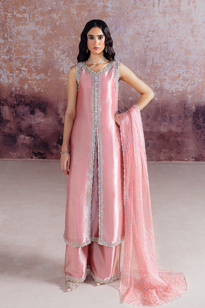 SRA Wedding Festive Organza Hand Emblishment Unstitched Collection AYDA