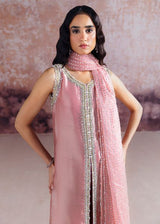 SRA Wedding Festive Organza Hand Emblishment Unstitched Collection AYDA