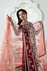 SORAYA ORGANZA UNSTITCHED EMB SOLARA SUIT