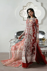 SORAYA ORGANZA UNSTITCHED EMB SOLARA SUIT