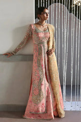 SORAYA ORGANZA UNSTITCHED EMB VELORA MAXI