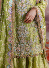 Shadan - Sara Rohale Asghar