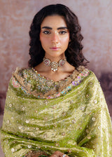 Shadan - Sara Rohale Asghar